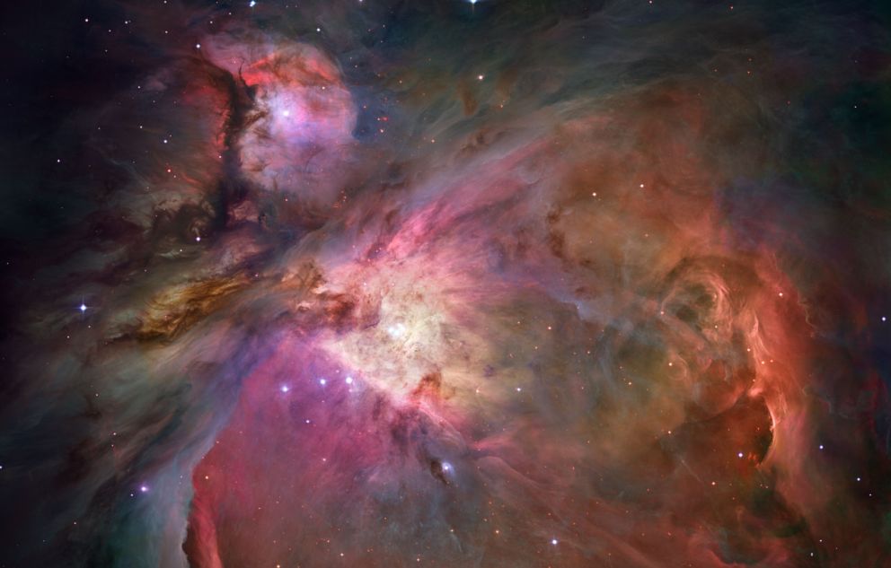 The Trapezium Cluster lies near the centre of the Orion Nebula. In 2023, researchers discovered more than 40 JuMBOs in this region. Image Credit: NASA, ESA, M. Robberto (STScI/ESA) and The Hubble Space Telescope Orion Treasury Project Team