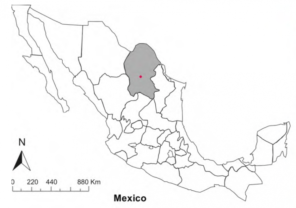 Research for this study was done in the Cuatro Ciénegas Basin in the Chihuahuan Desert of Mexico. This area was originally a shallow sea that became isolated from the Gulf of Mexico around 43 million years ago.
Image courtesy of Luis David Alcaraz and Valeria Souza