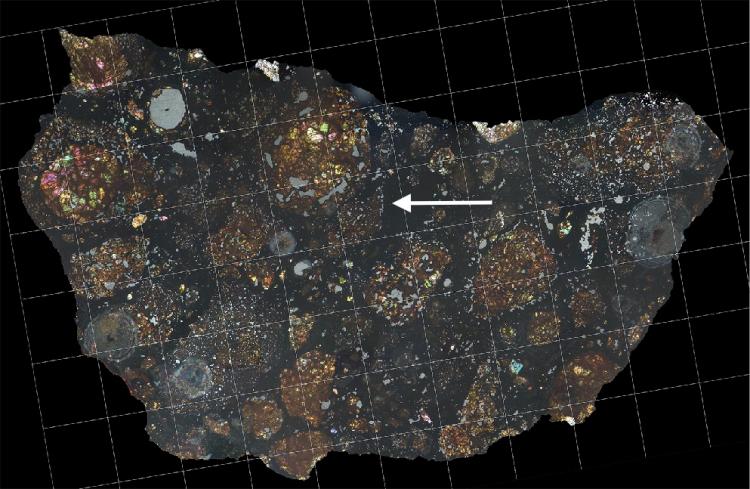 A slice of the LaPaz 02342 meteorite with the white arrow showing the carbon-rich fragment that came from an ancient comet. Image Credit:
Carles Moyano-Cambero