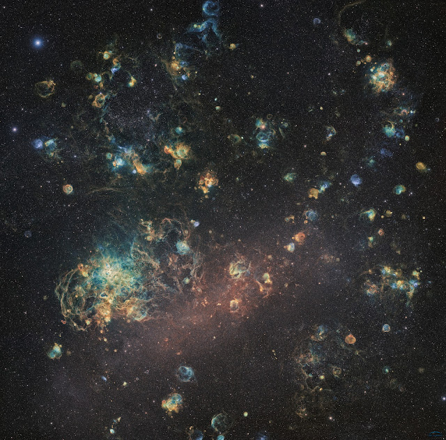 This image of the LMC took over 1,000 hours to capture. It shows why the LMC is such a rich target for astronomical observations. Image Credit: Ciel Austral