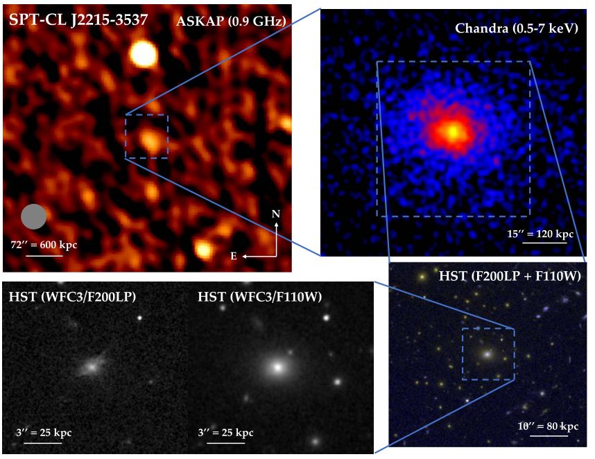 This figure from the research helps illustrate the galaxy cluster's unusual properties. It shows successive zoomed-in images of SPT2215 with different telescopes and at different wavelengths. The upper left shows an ASKAP (Australian Square Kilometre Array Pathfinder) image in radio waves with the AGN in the center. The upper right is a Chandra X-Ray image showing