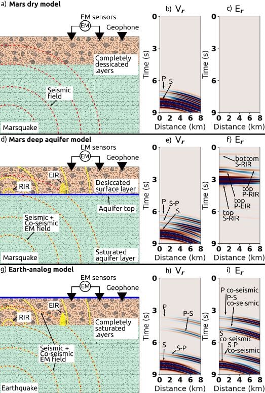 This illustration from the research shows how the seismoelectric method could detect subsurface water on Mars. It shows three different cases: a dry Mars, a Mars with a deep aquifer, and an Earth-analog model. There's a lot of complexity, but the main takeaway is that the different interface responses behave differently and arrive at sensors at different times. See the published research for more details. Image Credit: Roth et al. 2024.