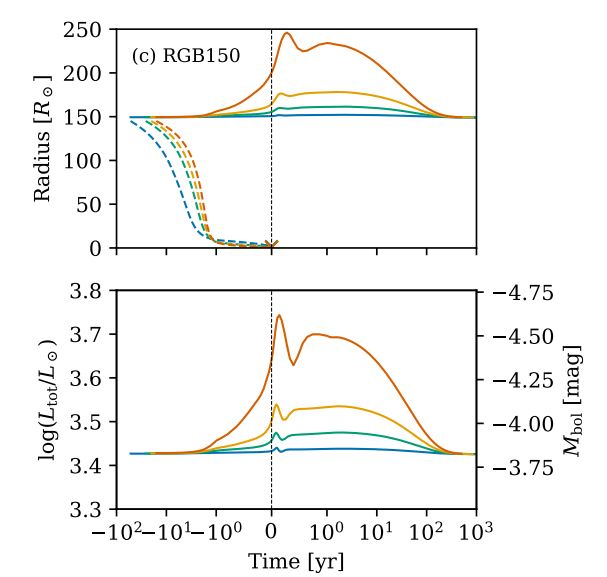This figure from the study shows the changes in radius and magnitude for one of the host stars modelled in the study. The top panel shows how a star can expand and contract multiple times during engulfment. The bottom panel shows how the star's magnitude changes. Image Credit: O'Connor et al. 2023.
