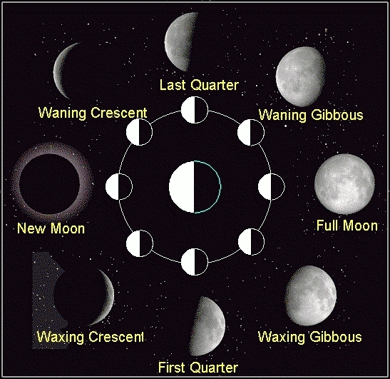 What are the Phases of the Moon? - Universe Today