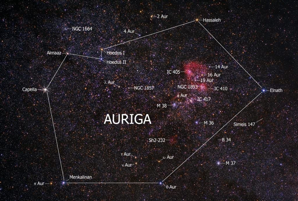 auriga twin