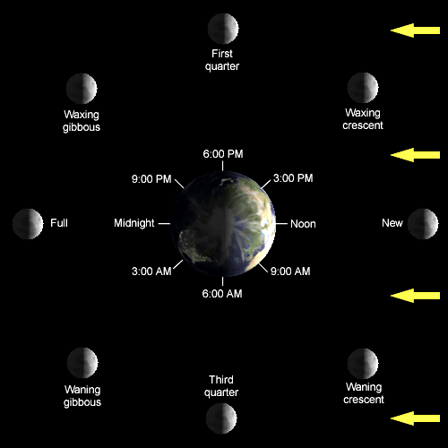 moon cycle right now