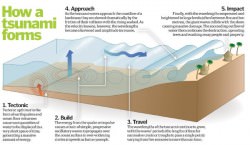 tsunamis Archives - Universe Today