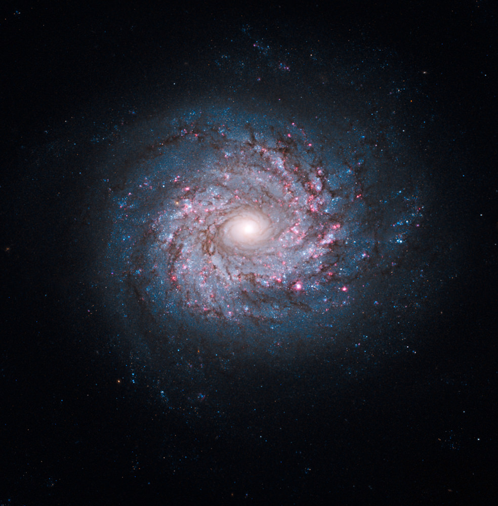 the spiral galaxies universe