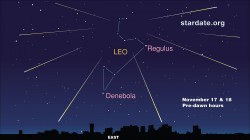 The Lion Tamer - Leonid Meteor Shower 2010 - Universe Today