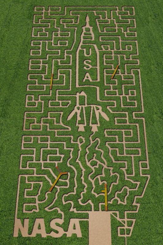 cool corn maze