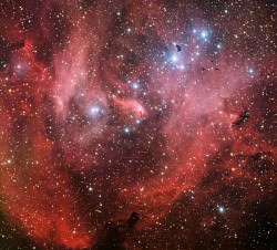 Can You Spot the Running Chicken in this Nebula? - Universe Today