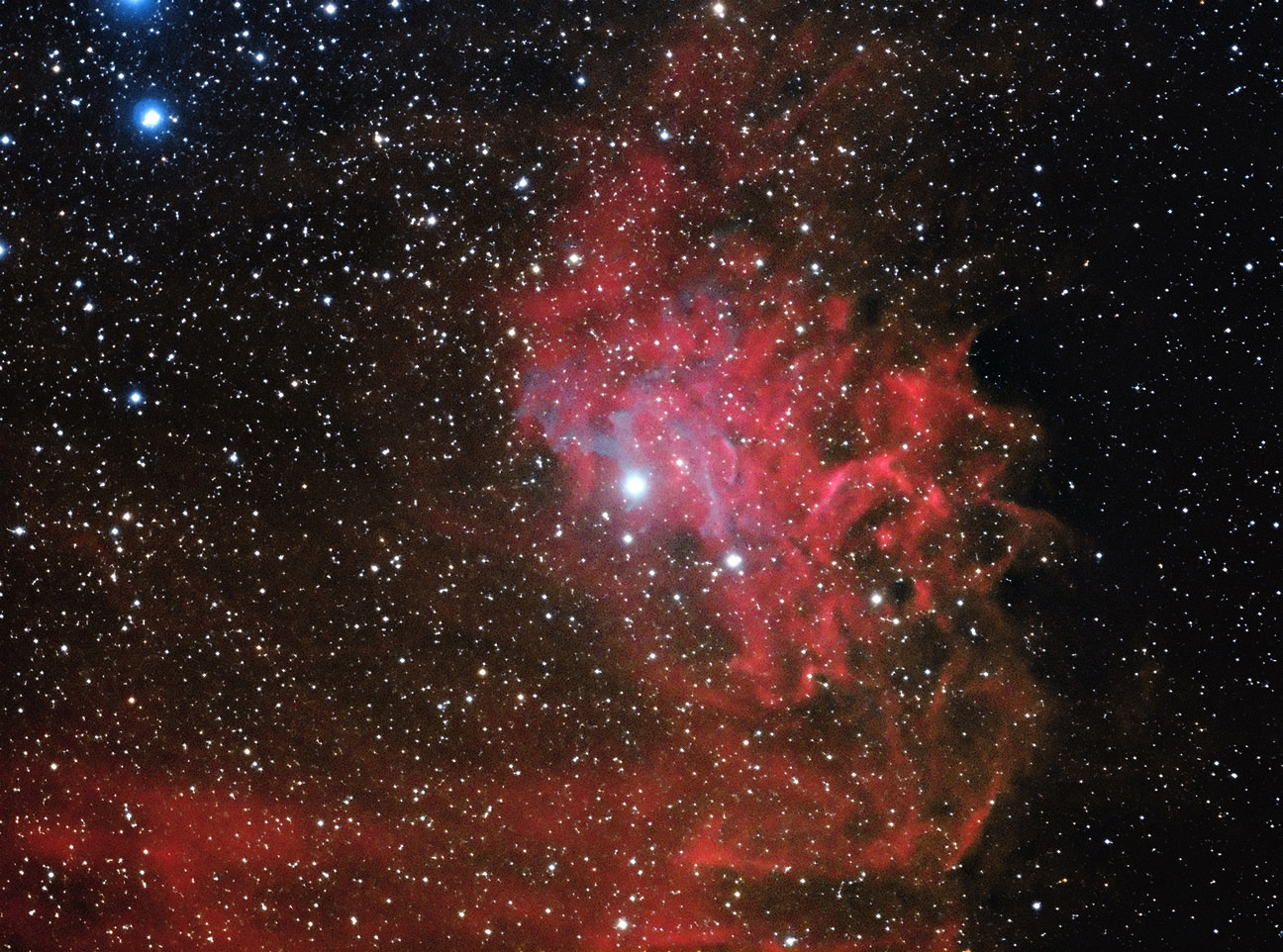 Astrophoto: The Flaming Star Nebula by Robert Collins | Science and ...