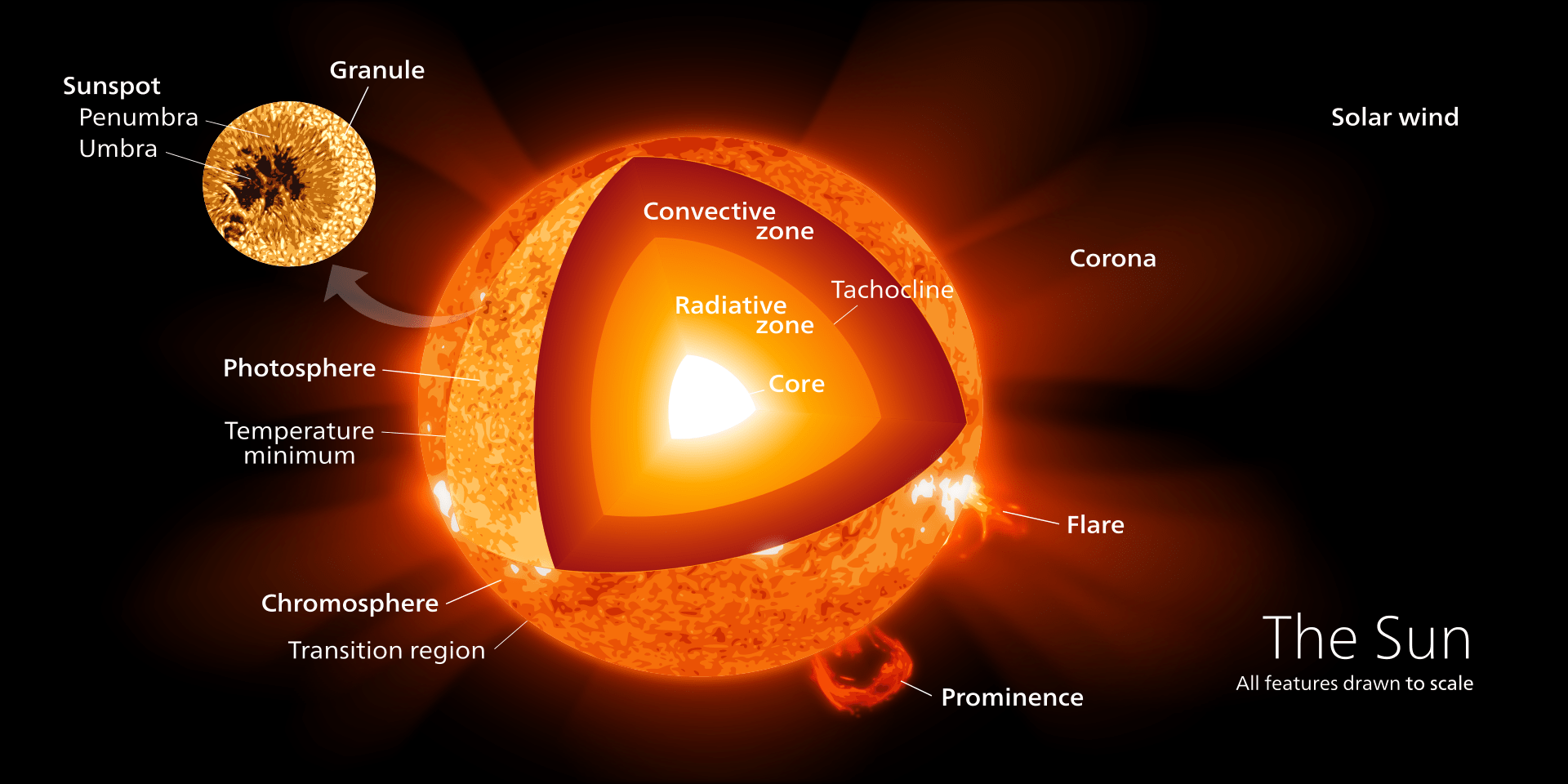 What Are The Parts Of The Sun Universe Today