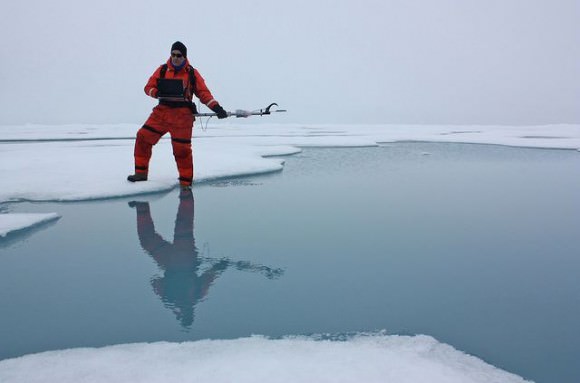 Unexpected Find: 'Rainforest' of Phytoplankton Growth in the Arctic ...