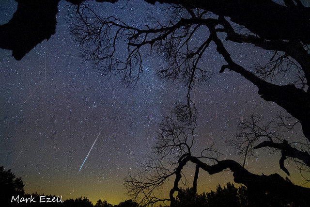 Geminid Meteor Shower Archives - Universe Today