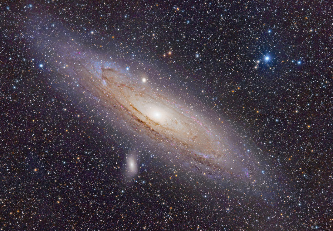 Andromeda Galaxy Adam Evans Wiki 