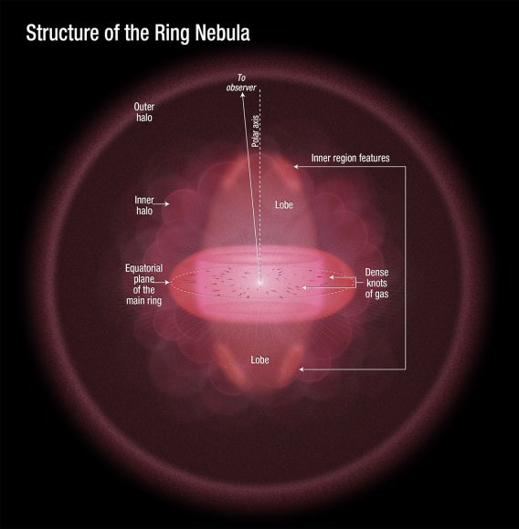 This illustration depicts a sideways view of the Ring Nebula, as deduced by astronomers using new Hubble observations. Credit: NASA, ESA, and A. Feild (STScI)