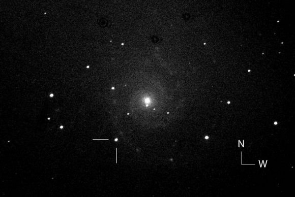 Third Bright Supernova Discovered In Spiral Galaxy M74 - Universe Today