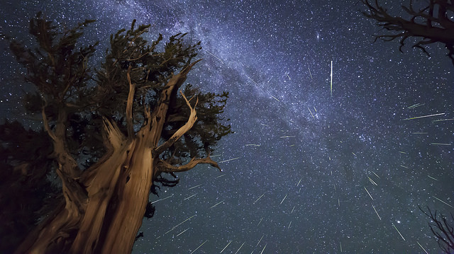 Perseid Meteor Shower 2013: Images From Around The World - Universe Today