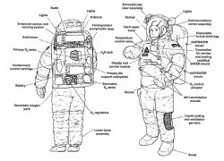 NASA Sparked Fire Risk While Drying Sodden Spacesuit On Station, Report ...