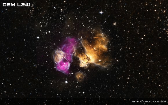 A composite image with Chandra data (purple) showing a "point-like source" beside the remains of a supernova, suggesting a companion star may have survived the explosion. Hydrogen is shown in optical light (yellow and cyan) from the Magellanic Cloud Emission Line Survey and there is also optical data available from the Digitized Sky Survey (white). Credit: X-ray: NASA/CXC/SAO/F.Seward et al; Optical: NOAO/CTIO/MCELS, DSS