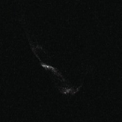 New Arecibo Radar Images Show Comet Responsible for Camelopardalids is ...