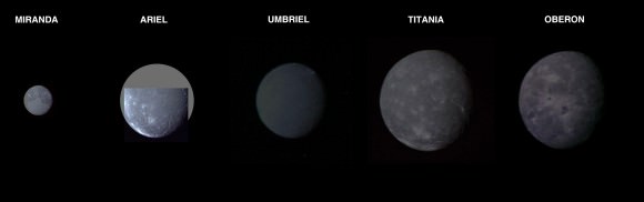 Uranus' Five Largest Moons