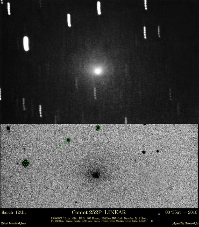 Comet Craziness: 252p Linear Brightens, And A Close Pass For Ba14 