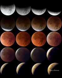 Here Are Some Amazing Pictures Of The January 2018 Lunar Eclipse ...