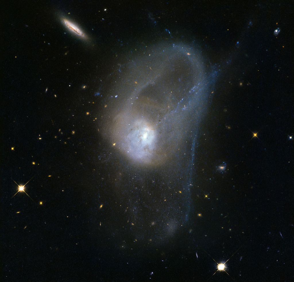 There are not many merging galaxies close enough to study in detail, but NGC 3921 is one of them. There are only 270 million light years left. Image Credit: By ESA / Hubble, CC BY 4.0, https://commons.wikimedia.org/w/index.php?curid=43262132