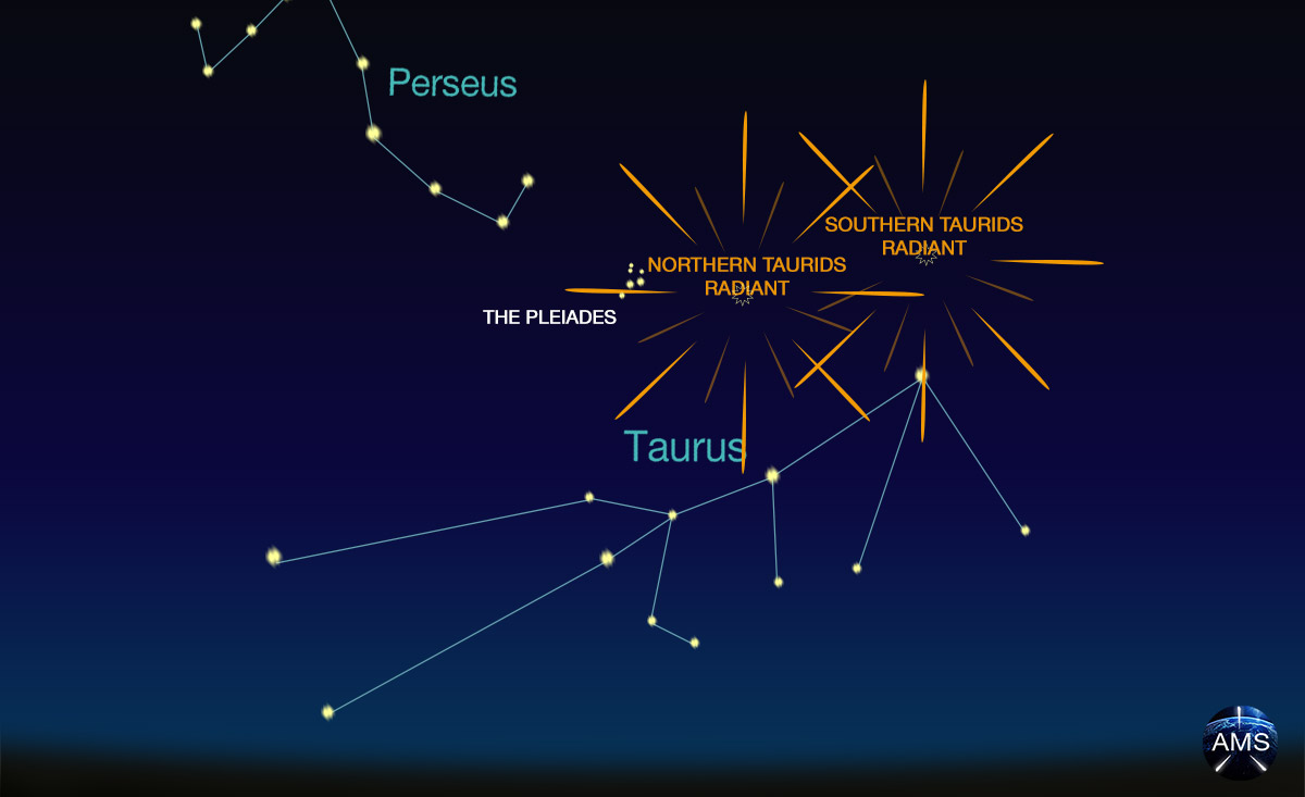 November Meteors Taurids, Leonids and a Surprise Monocerotids Outburst