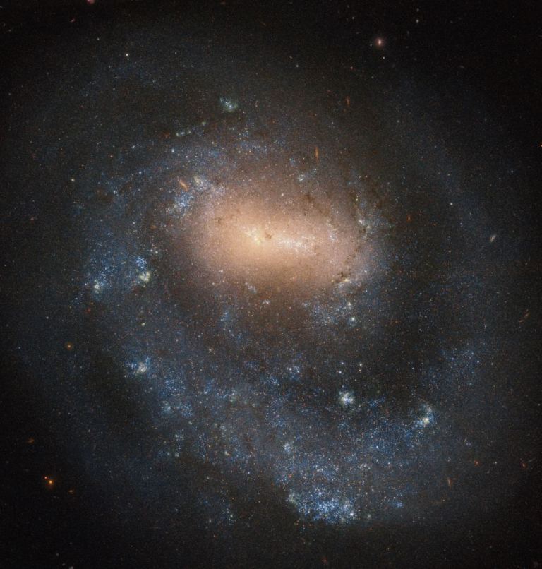 NGC 4618 Archives - Universe Today