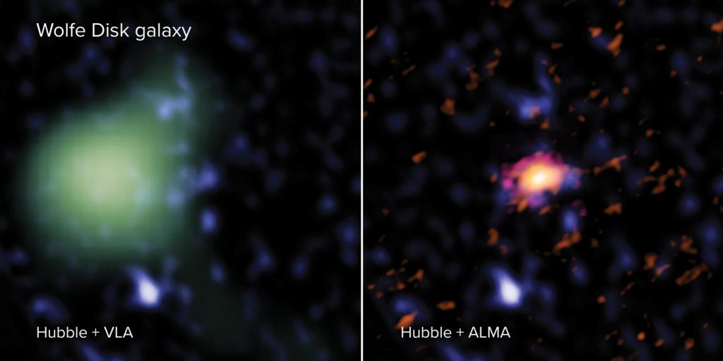 The Wolfe Disk as seen with ALMA (right - in red), VLA (left - in green) and the Hubble Space Telescope (both images - blue). In radio light, ALMA looked at the galaxy’s movements and mass of atomic gas and dust and the VLA measured the amount of molecular mass. In UV-light, Hubble observed massive stars. The VLA image is made in a lower spatial resolution than the ALMA image, and therefore looks larger and more pixelated. Image Credit: ALMA (ESO/NAOJ/NRAO), M. Neeleman; NRAO/AUI/NSF, S. Dagnello; NASA/ESA Hubble