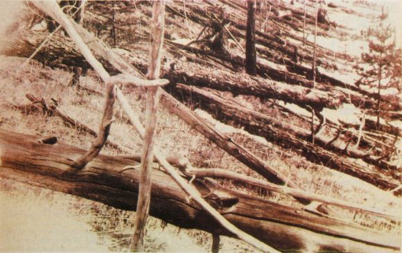 The Tunguska Explosion Could Have Been Caused By An Asteroid That Still ...