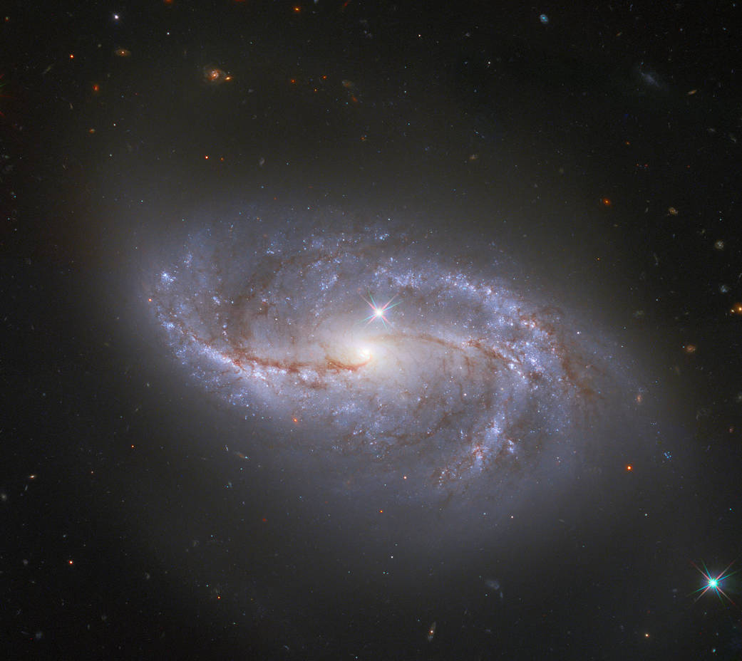Barred Spiral Galaxy NGC 2608, Surrounded by Many Many Other Galaxies