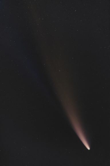 Amazing Images Of Comet F3 NEOWISE From Around The World - Universe Today