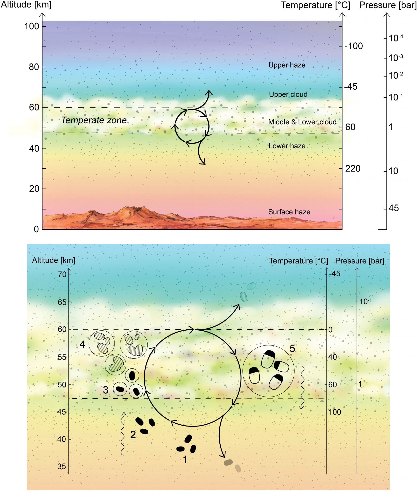 Could There Be Life in the Cloudtops of Venus? - Universe Today