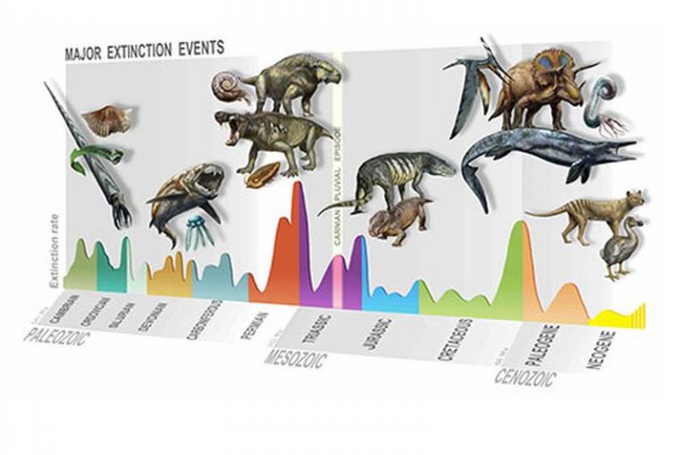 A New Mass Extinction has been Discovered, Wiping Out Life 233 Million