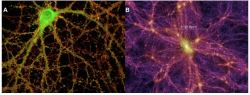 neural network Archives - Universe Today