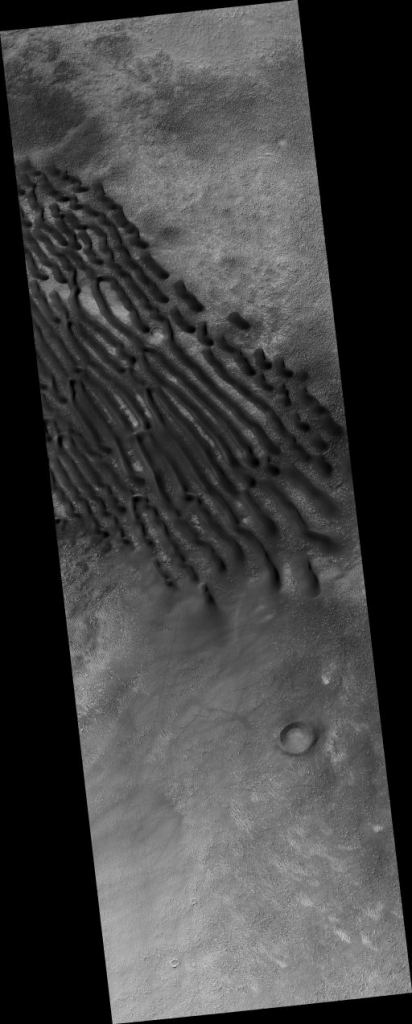Zoomed out view of the dunes showing their scale compared to the rest of the surface.