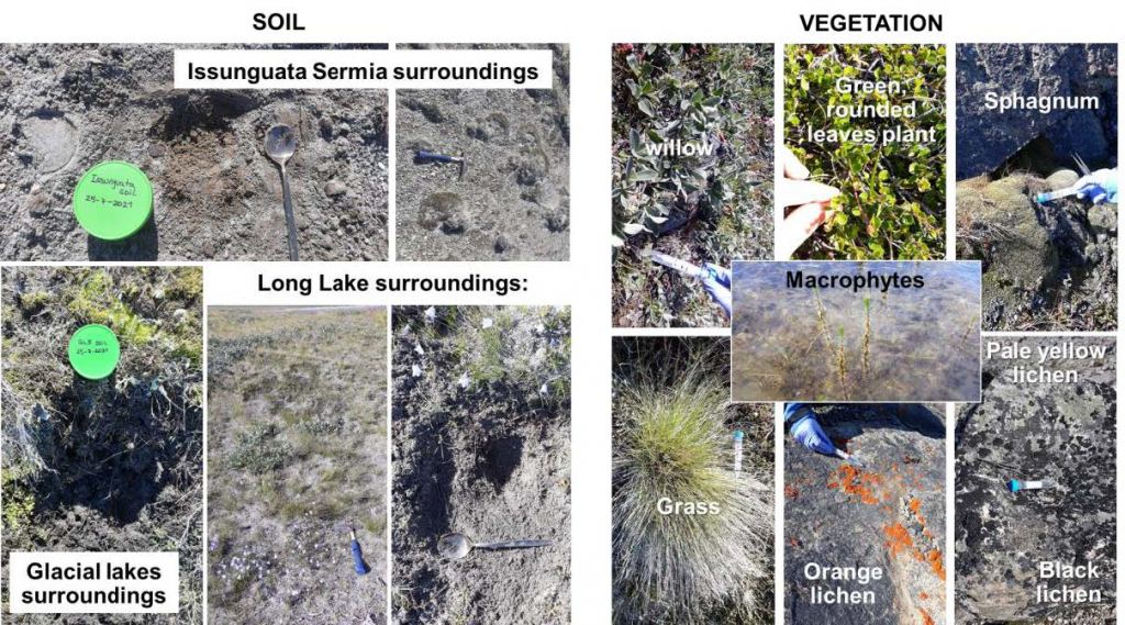 Soil & Vegetation studies at the Kangerlussuaq Planetary Analogue Field Site. Credits: Laura Sánche-García/CAB (INTA-CSIC).