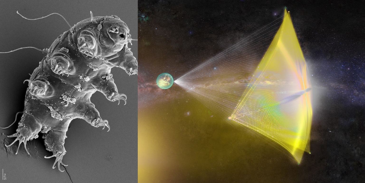 Will Water Bears be the First Interstellar Astronauts? Universe Today