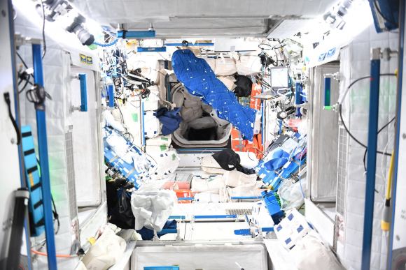 Could Astronauts Hibernate on Long Space Voyages? - Universe Today