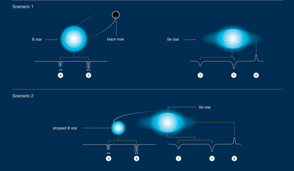 This schematic illustration shows the observations and competing scenarios for HR 6819. Sizes and distances are not to scale. Top: original scenario, with a giant B star orbiting a black hole, and a rapidly-spinning Be star further away. Bottom: alternative scenario without a black hole, with a stripped B star that is less massive than the Be one. Note that the spectral lines of the Be star do wobble very slightly (not shown here). Credit: ESO/J. C. Munoz-Mateos, D. Catricheo