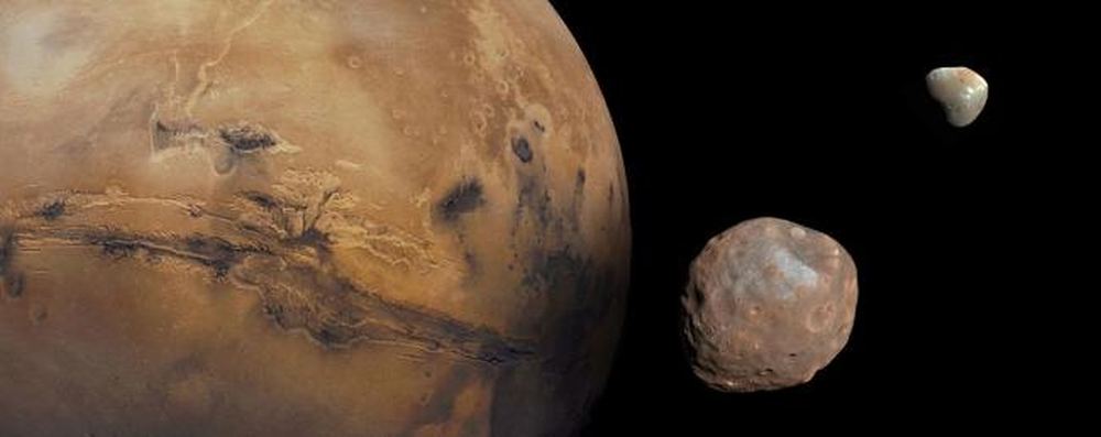 Were Phobos and Deimos Once a Single Martian Moon That Split up? Not Likely, say..