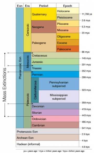 Volcanoes are the worst. They’ve caused extinctions on Earth, and ...