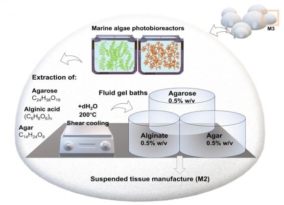 módulo de Bioprocessamento de Materiais