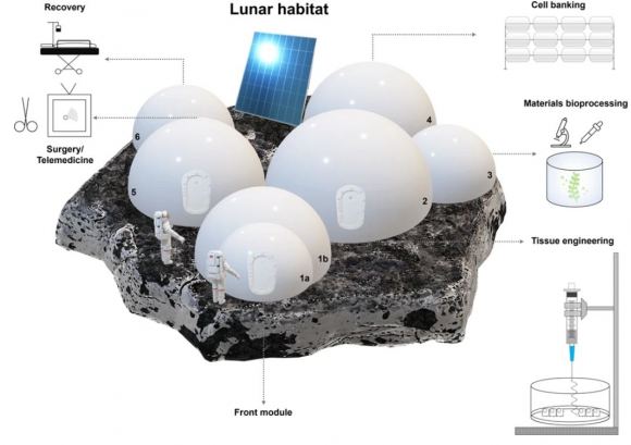 módulo lunar concebido para fins de bioengenharia e reparo cirúrgico