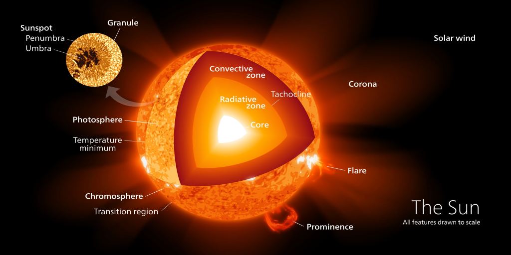 The interior structure of our Sun. The dynamo generating a magnetic field could lie very close to the solar surface. Credit: Kelvin Ma, via Wikipedia