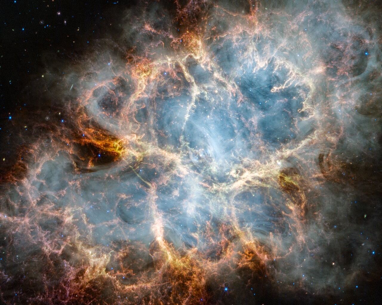 The NASA/ESA/CSA James Webb Space Telescope has gazed at the Crab Nebula in the search for answers about the supernova remnant’s origins. Webb’s NIRCam (Near-Infrared Camera) and MIRI (Mid-Infrared Instrument) have revealed new details in infrared light. Similar to the Hubble optical wavelength image released in 2005, with Webb the remnant appears to consist of a crisp, cage-like structure of fluffy red-orange filaments of gas that trace doubly ionised sulphur (sulphur III). Within the remnant’s interior, yellow-white and green fluffy ridges form large-scale loop-like structures, which represent areas where dust particles reside. The area is composed of translucent, milky material. This material is emitting synchrotron radiation, which is emitted across the electromagnetic spectrum but becomes particularly vibrant thanks to Webb’s sensitivity and spatial resolution. It is generated by particles accelerated to extremely high speeds as they wind around magnetic field lines. The synchrotron radiation can be traced throughout the majority of the Crab Nebula’s interior. Locate the wisps that follow a ripple-like pattern in the middle. In the centre of this ring-like structure is a bright white dot: a rapidly rotating neutron star. Further out from the core, follow the thin white ribbons of the radiation. The curvy wisps are closely grouped together, following different directions that mimic the structure of the pulsar’s magnetic field. Note how certain gas filaments are bluer in colour. These areas contain singly ionised iron (iron II). [Image description: An oval nebula with a complex structure against a black background. On the oval's exterior lie curtains of glowing red and orange fluffy material. Interior to this outer shell lie large-scale loops of mottled filaments of yellow-white and green, studded with clumps and knots. Translucent thin ribbons of smoky white lie within the remnant’s interior, brightest toward its centre.]